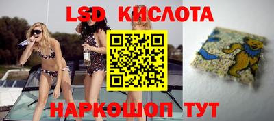 сатива Кунгур