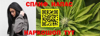 сатива Кунгур