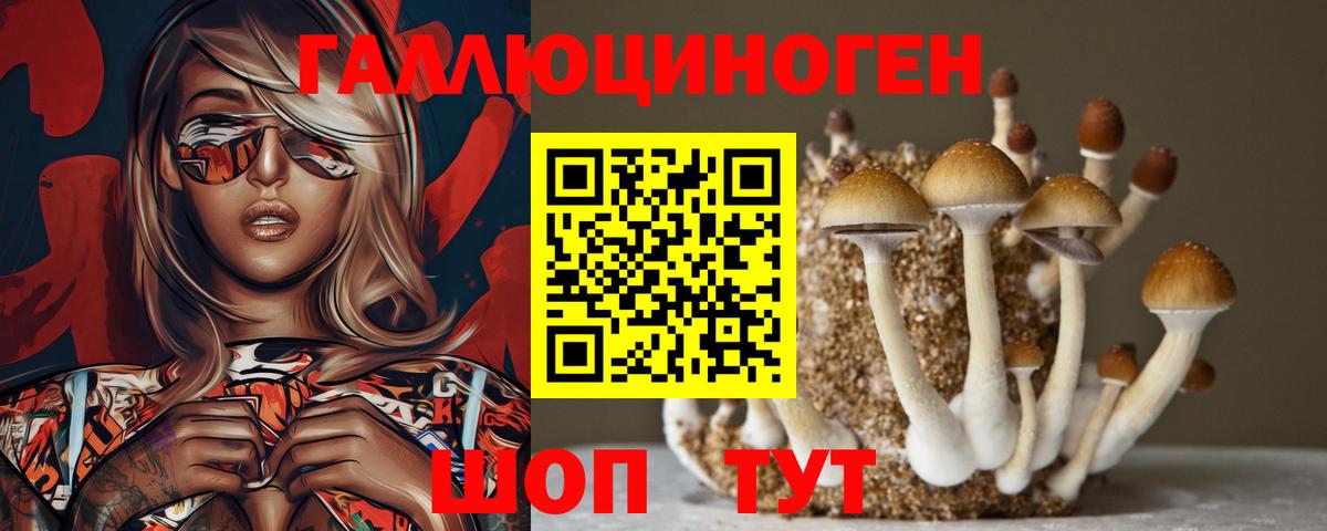Псилоцибиновые грибы мухоморы  купить   Псилоцибиновые грибы Cubensis  Конаково  Вход с VPN 